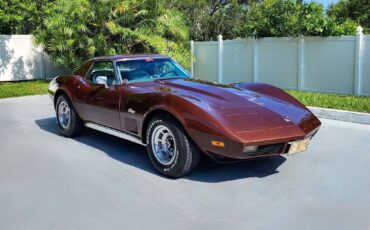 Chevrolet-corvette-1974-brown-3