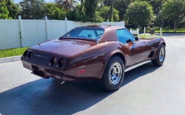 Chevrolet-corvette-1974-brown