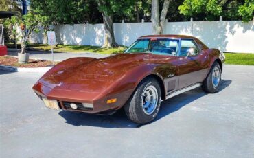 Chevrolet-corvette-1974-brown-5
