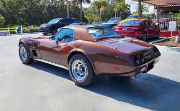 Chevrolet-corvette-1974-brown-8