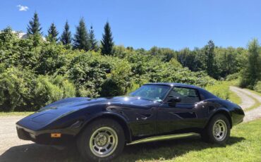 Chevrolet-corvette-1977-black-6