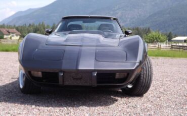 Chevrolet-corvette-1977-grey-2