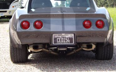 Chevrolet-corvette-1977-grey-3