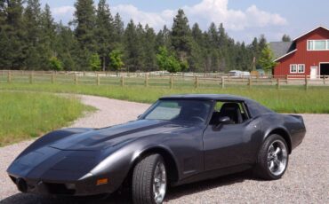 Chevrolet-corvette-1977-grey-4