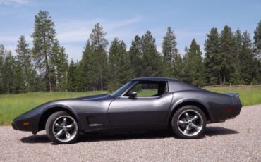 Chevrolet-corvette-1977-grey-5