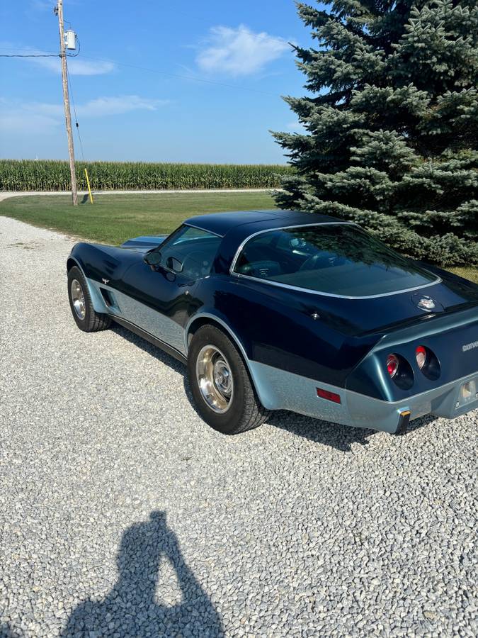 Chevrolet-corvette-1978-blue-5