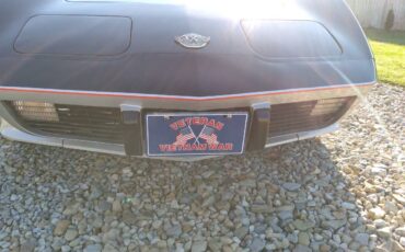 Chevrolet-corvette-1978-custom-5