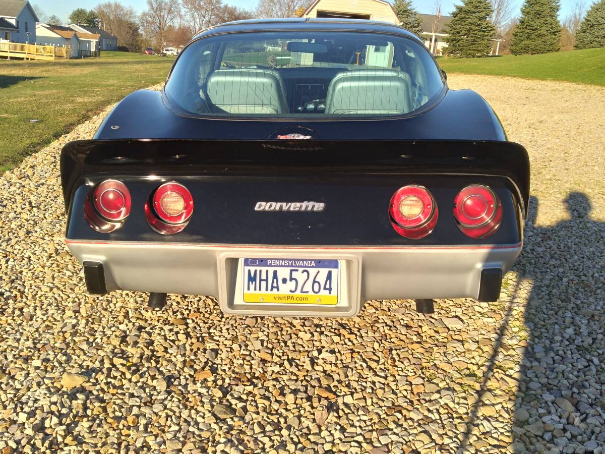 Chevrolet-corvette-1978-custom-6