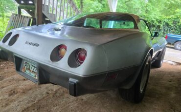 Chevrolet-corvette-1978-silver-11