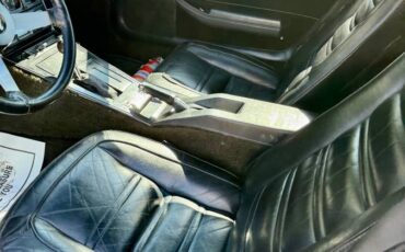 Chevrolet-corvette-1978-silver-18