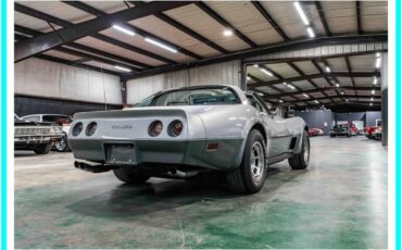 Chevrolet-corvette-1978-silver-21