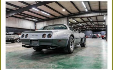 Chevrolet-corvette-1978-silver-28
