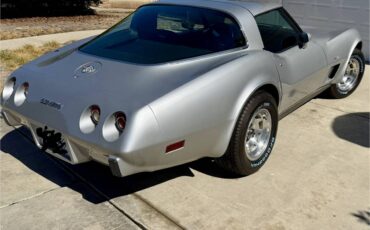 Chevrolet-corvette-1978-silver-4