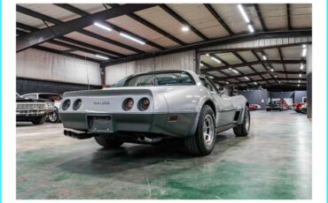 Chevrolet-corvette-1978-silver-46