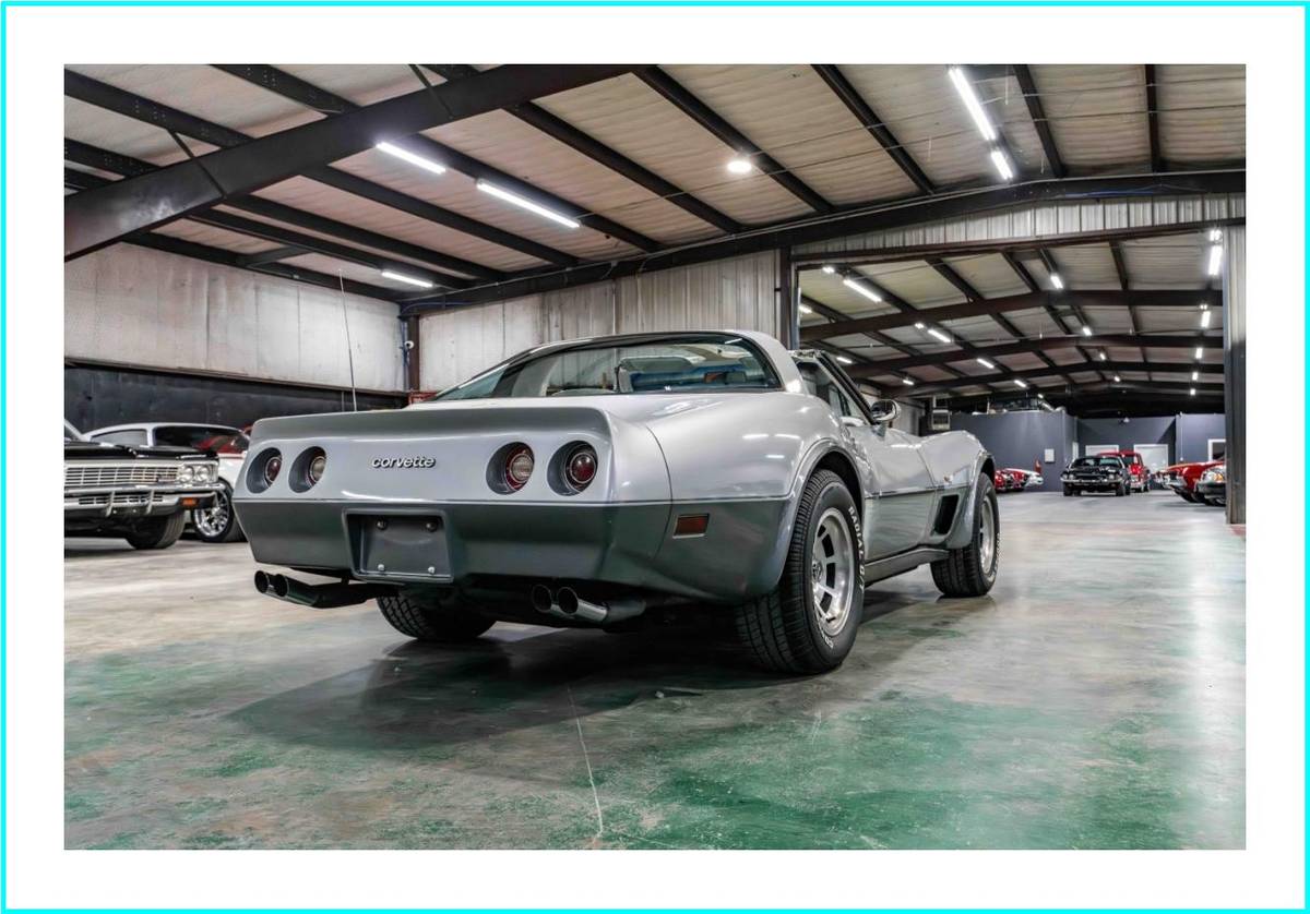 Chevrolet-corvette-1978-silver-46