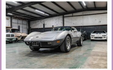 Chevrolet-corvette-1978-silver-5