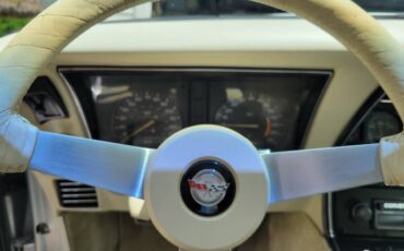 Chevrolet-corvette-1978-silver-5