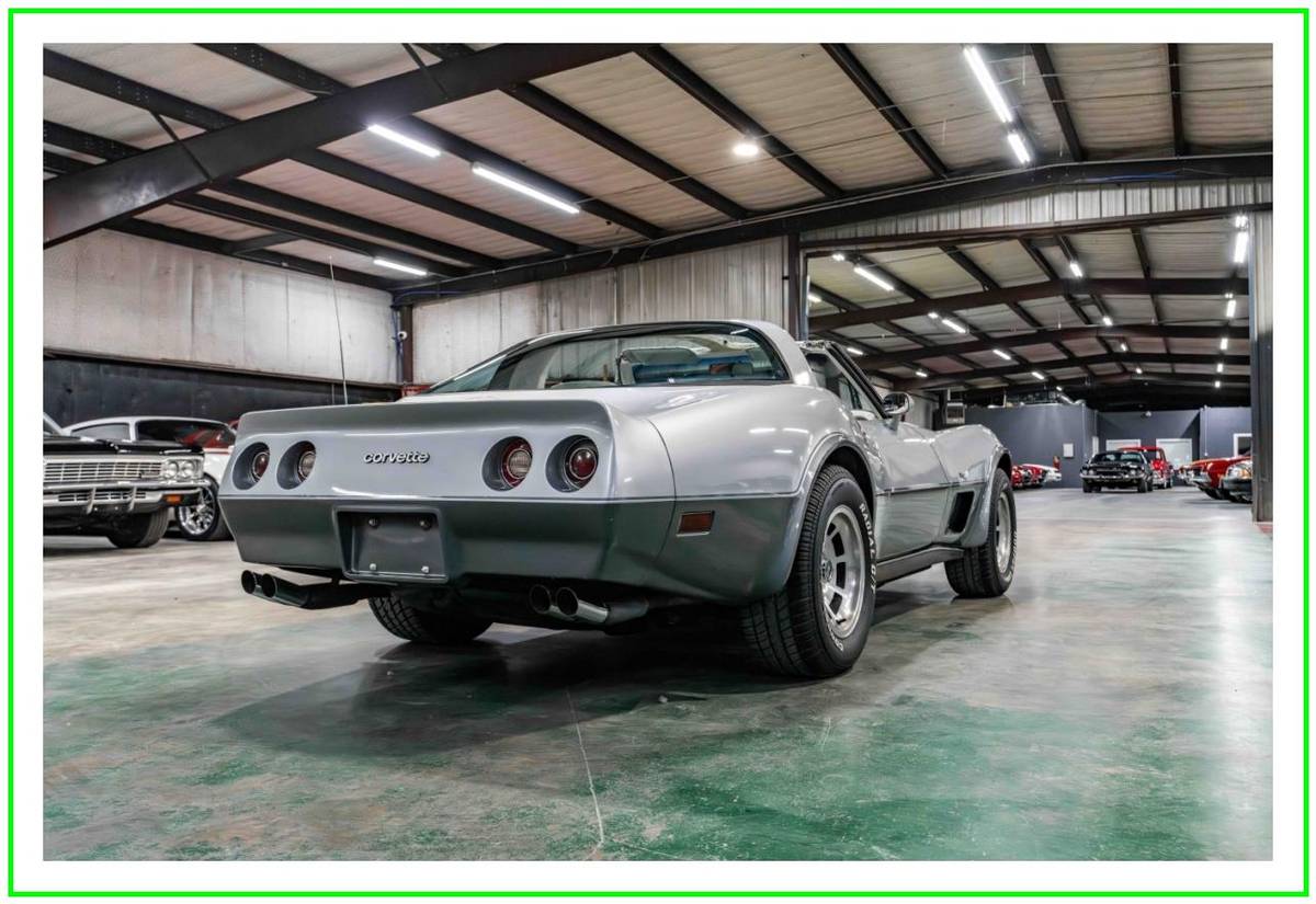 Chevrolet-corvette-1978-silver-56