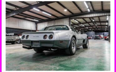 Chevrolet-corvette-1978-silver-6