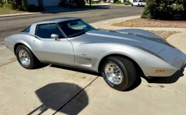Chevrolet-corvette-1978-silver-7
