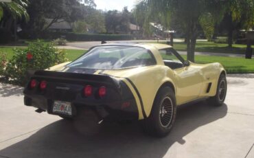 Chevrolet-corvette-1979-1
