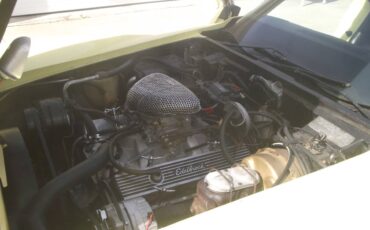 Chevrolet-corvette-1979-17