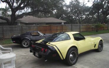 Chevrolet-corvette-1979-23