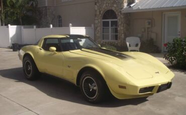 Chevrolet-corvette-1979-6