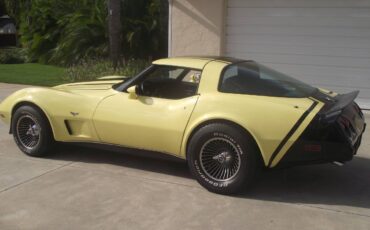 Chevrolet-corvette-1979-7