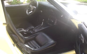 Chevrolet-corvette-1979-9