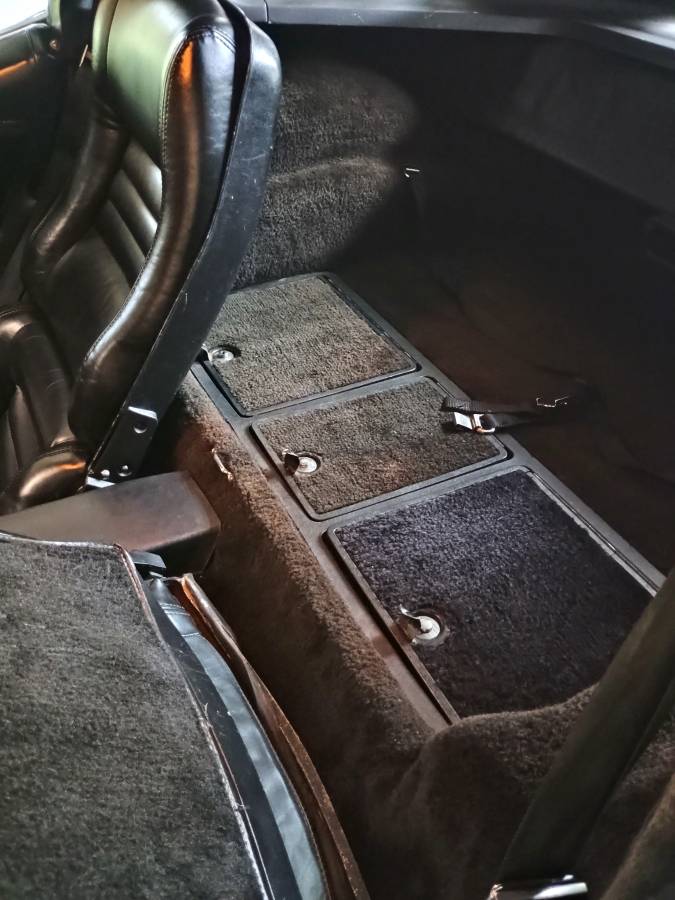 Chevrolet-corvette-1979-black-4