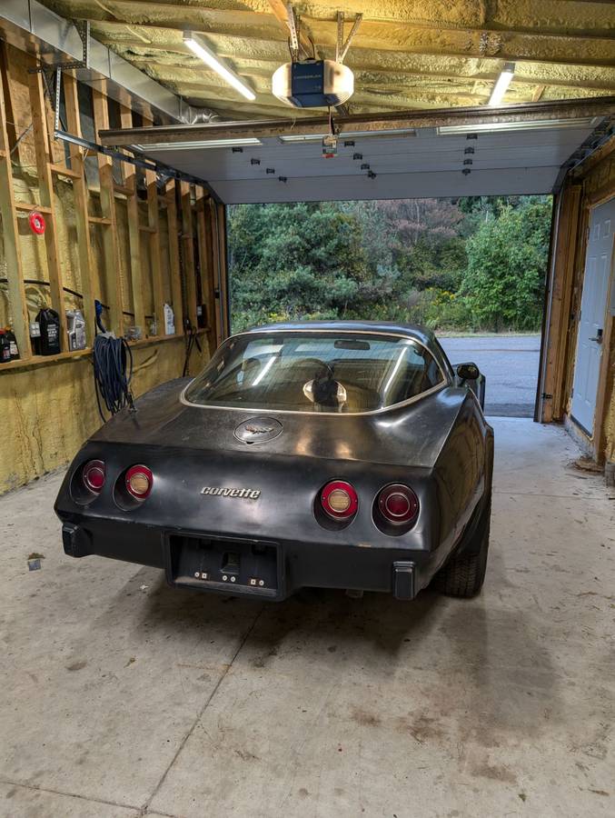 Chevrolet-corvette-1979-green-2