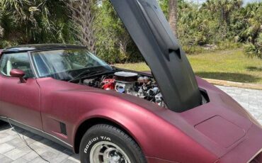 Chevrolet-corvette-1980-custom-3