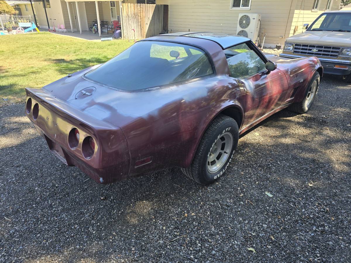 Chevrolet-corvette-1980-custom-5