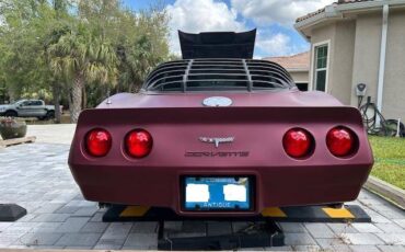 Chevrolet-corvette-1980-custom-5