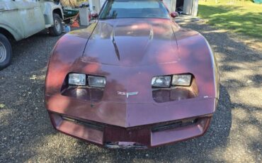 Chevrolet-corvette-1980-custom-9