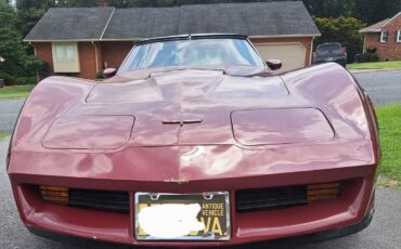 Chevrolet-corvette-1981-custom-2