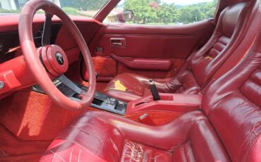 Chevrolet-corvette-1981-custom-6