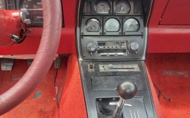 Chevrolet-corvette-1981-custom-7