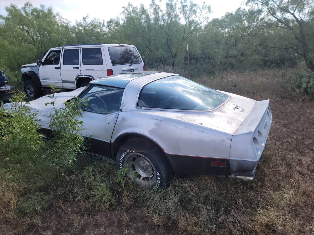 Chevrolet-corvette-1981-silver-1