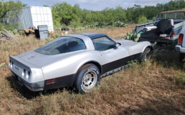 Chevrolet-corvette-1981-silver-2