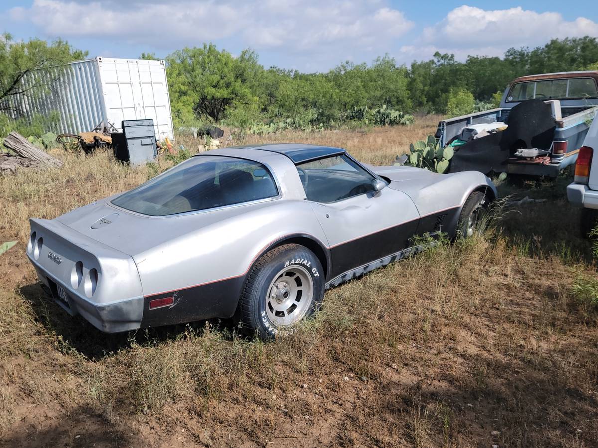 Chevrolet-corvette-1981-silver-2