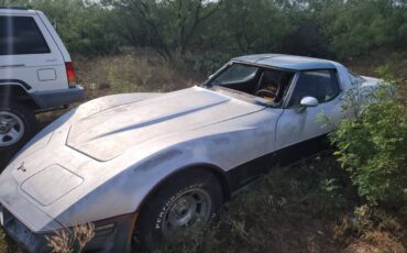 Chevrolet-corvette-1981-silver