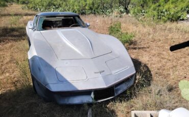 Chevrolet-corvette-1981-silver-7