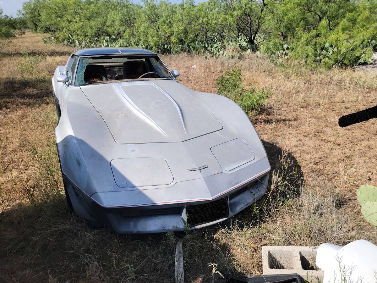 Chevrolet-corvette-1981-silver-7