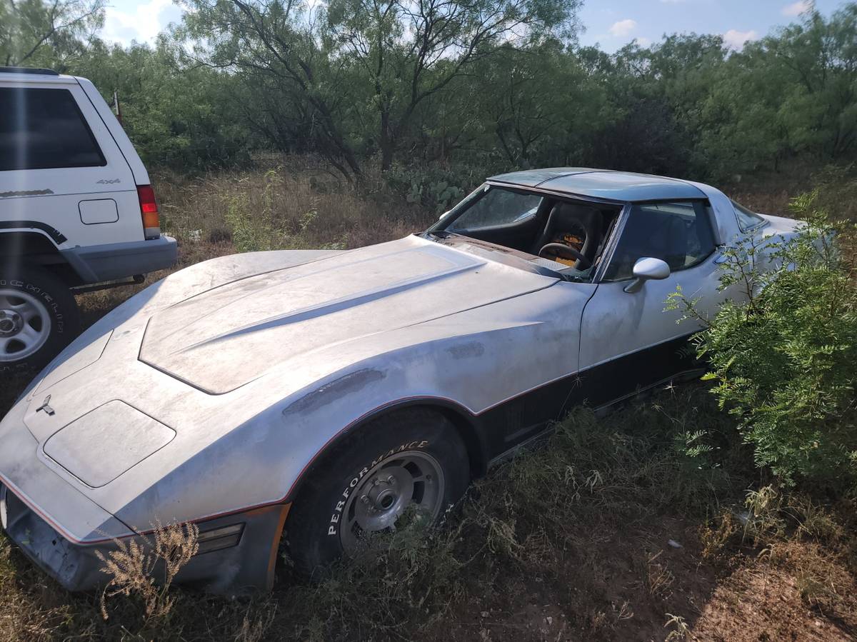 Chevrolet-corvette-1981-silver