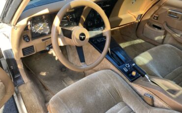 Chevrolet-corvette-1981-white-4