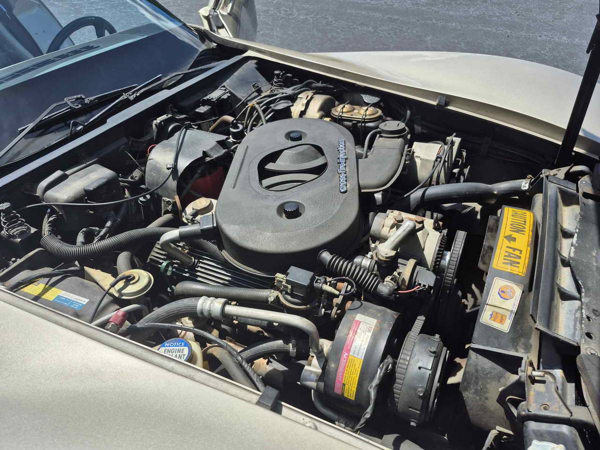 Chevrolet-corvette-1982-12