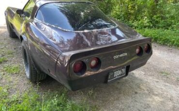 Chevrolet-corvette-1982-2