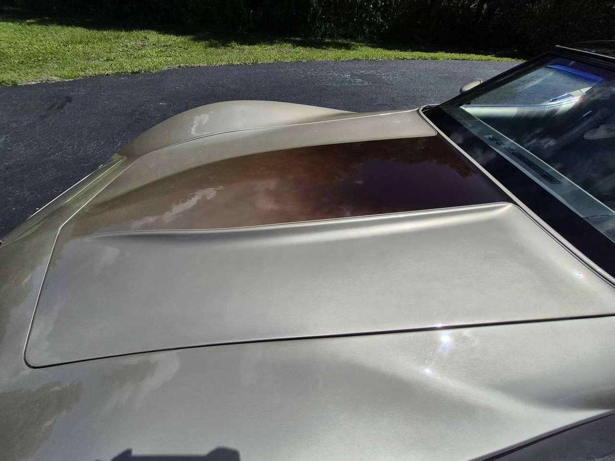 Chevrolet-corvette-1982-7